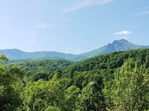 Парцел в Априлци - 9145 кв.м за 9 €/кв.м - Снимка #1