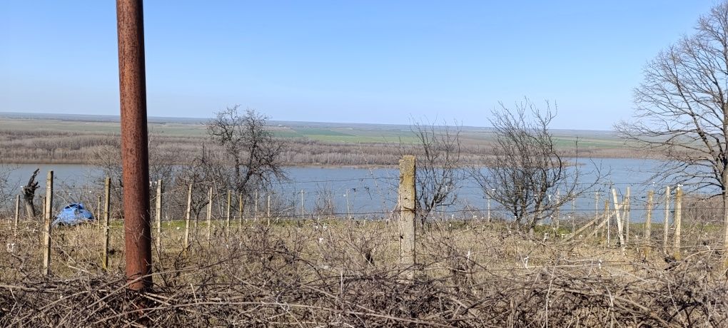 Земеделски имот в Русе, в.з. Левента -  кв.м за 3 €/дка - Снимка #1