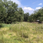 Парцел в с. Алино, Област София-област - 1273 кв.м за 40 €/кв.м - Снимка #1