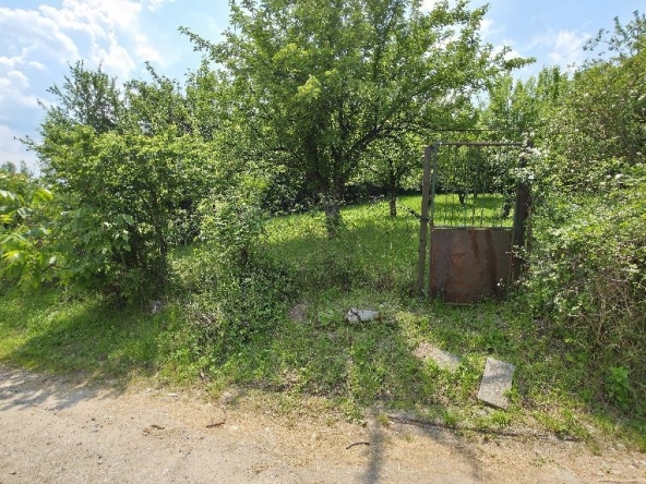 Парцел в с. Кралев дол, Област Перник - 1050 кв.м за 44 €/кв.м - Снимка #1