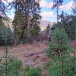 Парцел в Сърница - 543 кв.м за 57 €/кв.м - Снимка #1