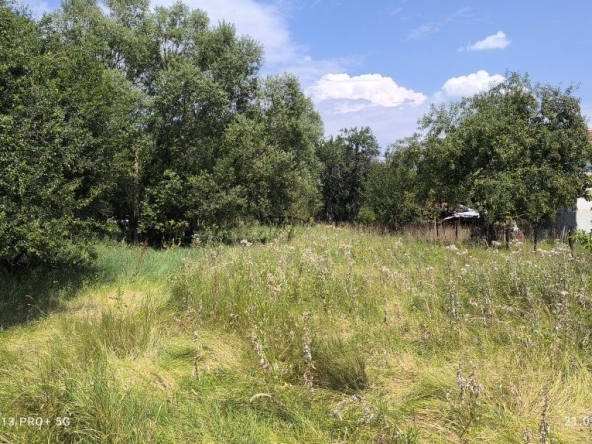 Парцел в с. Алино, Област София-област - 1273 кв.м за 40 €/кв.м - Снимка #1