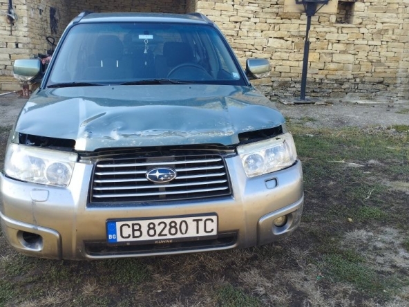 в Павликени -  кв.м за 0 €/ - Снимка #1