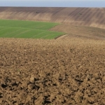 Земеделски имот в Провадия -  кв.м за 6 €/дка - Снимка #1