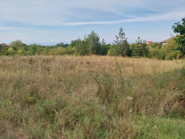 Парцел в с. Новаково, Област Пловдив - 770 кв.м за 85 €/кв.м - Снимка #1