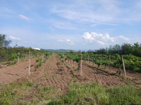 Земеделски имот в с. Карабунар, Област Пазарджик -  кв.м за 2 €/дка - Снимка #1