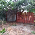 Парцел в с. Пелишат, Област Плевен - 1500 кв.м за 7 €/кв.м - Снимка #1