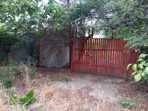 Парцел в с. Пелишат, Област Плевен - 1500 кв.м за 7 €/кв.м - Снимка #1