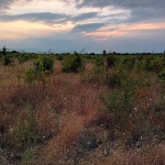 Земеделски имот в с. Брестовица, Област Пловдив -  кв.м за 3825 €/дка - Снимка #1