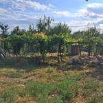 Парцел в с. Тодорово, Област Плевен - 500 кв.м за 41 €/кв.м - Снимка #1