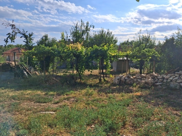 Парцел в с. Тодорово, Област Плевен - 500 кв.м за 41 €/кв.м - Снимка #1