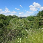 Парцел в Варна, м-т Боровец - юг - 1658 кв.м за 11 €/кв.м - Снимка #1