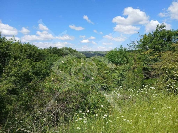 Парцел в Варна, м-т Боровец - юг - 1658 кв.м за 11 €/кв.м - Снимка #1