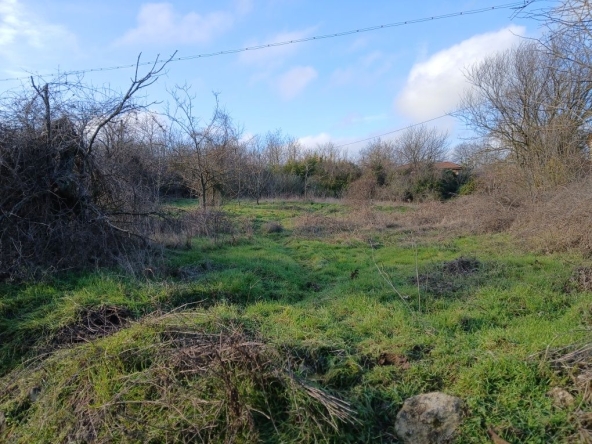 Парцел в Белослав - 1460 кв.м за 11 €/кв.м - Снимка #1