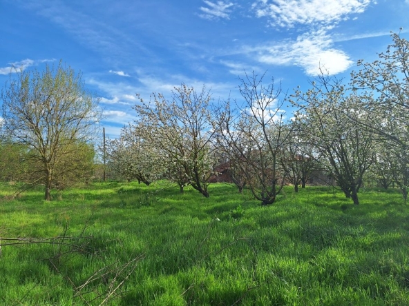 Земеделски имот в с. Дядово, Област Сливен -  кв.м за 3978 €/дка - Снимка #1