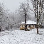 Къща в с. Палици, Област Велико Търново - 150 кв.м за 72 €/кв.м - Снимка #1