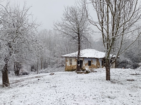 Къща в с. Палици, Област Велико Търново - 150 кв.м за 72 €/кв.м - Снимка #1