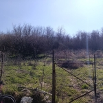 Парцел в с. Айдемир, Област Силистра - 2067 кв.м за 2 €/кв.м - Снимка #1