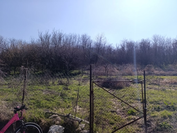 Парцел в с. Айдемир, Област Силистра - 2067 кв.м за 2 €/кв.м - Снимка #1