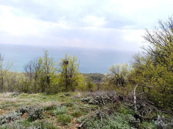 Парцел в с. Топола, Област Добрич - 827 кв.м за 45 €/кв.м - Снимка #1