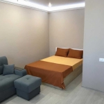 Дава се под наем Едностаен апартамент в Пловдив, Мараша - 40 кв.м за 239.19 € - Снимка #1