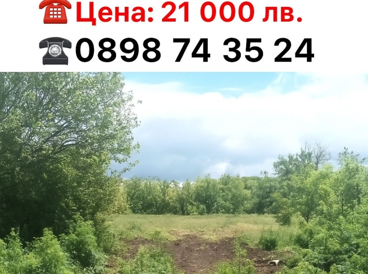 Парцел в с. Дъбрава, Област Добрич - 2300 кв.м за 5 €/кв.м - Снимка #1
