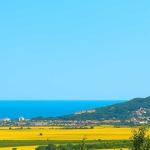 Парцел в с. Рогачево, Област Добрич - 500 кв.м за 70 €/кв.м - Снимка #1