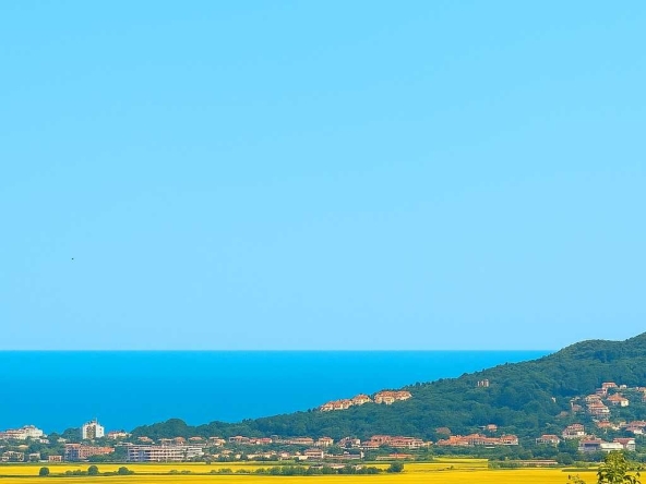 Парцел в с. Рогачево, Област Добрич - 500 кв.м за 70 €/кв.м - Снимка #1