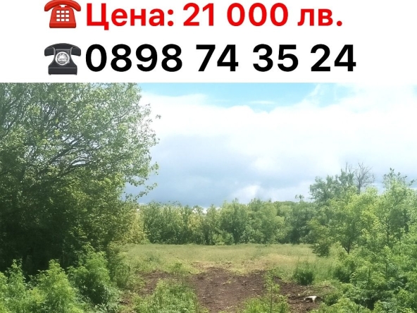 Парцел в с. Дъбрава, Област Добрич - 2300 кв.м за 5 €/кв.м - Снимка #1