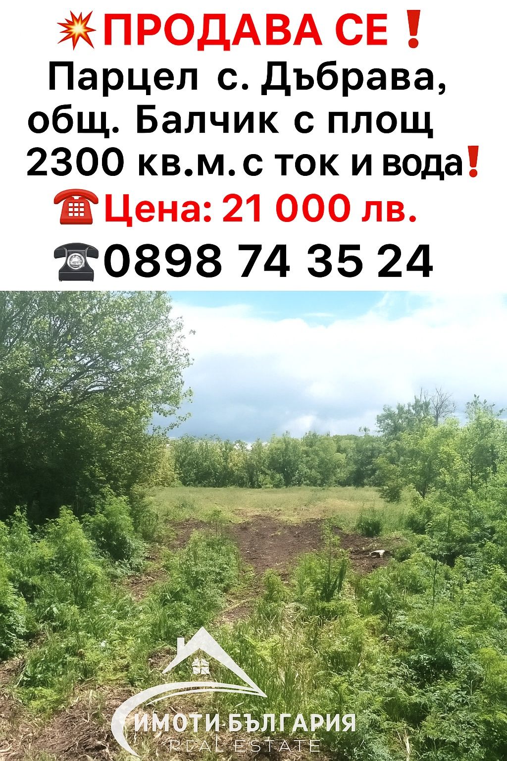 Парцел в с. Дъбрава, Област Добрич - 2300 кв.м за 5 €/кв.м - Снимка #1
