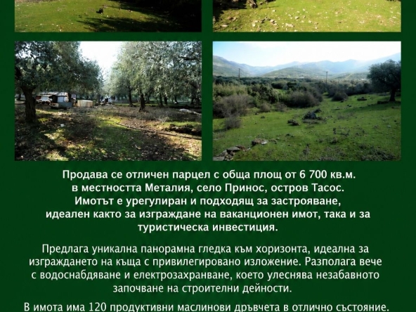 Парцел в София, Бъкстон - 6700 кв.м за 15 €/кв.м - Снимка #1