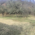 Парцел в с. Добри лаки, Област Благоевград - 15003 кв.м за 5 €/кв.м - Снимка #1