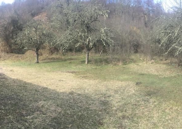 Парцел в с. Добри лаки, Област Благоевград - 15003 кв.м за 5 €/кв.м - Снимка #1