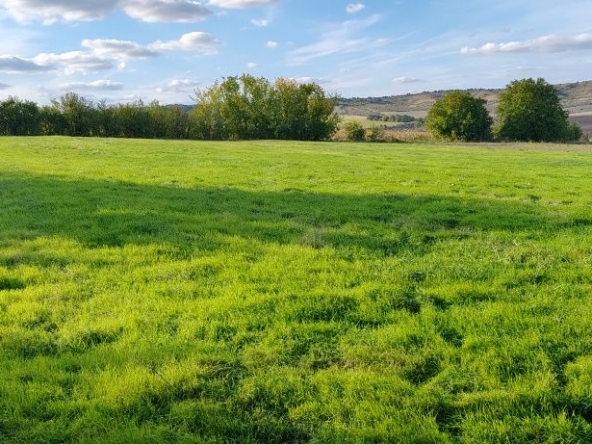 Парцел в с. Ягнило, Област Варна - 1620 кв.м за 4 €/кв.м - Снимка #1