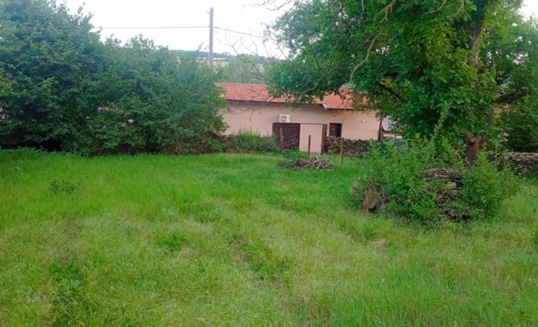 Парцел в с. Ушинци, Област Разград - 600 кв.м за 29 €/кв.м - Снимка #1