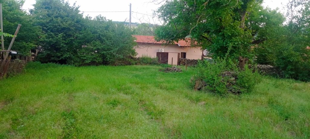 Парцел в с. Ушинци, Област Разград - 600 кв.м за 29 €/кв.м - Снимка #1
