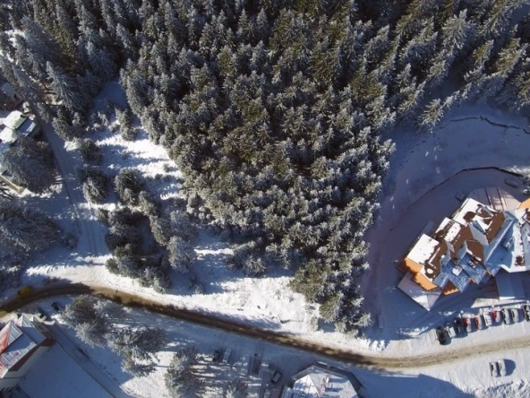 Парцел в к.к. Пампорово - 3800 кв.м за 60 €/кв.м - Снимка #1