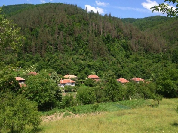 Къща в с. Лява река, Област Стара Загора - 100 кв.м за 300 €/кв.м - Снимка #1