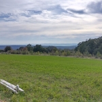 Парцел в с. Здравец, Област Варна - 3000 кв.м за 19 €/кв.м - Снимка #1