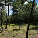 Парцел в с. Велковци, Област Габрово - 930 кв.м за 14 €/кв.м - Снимка #1