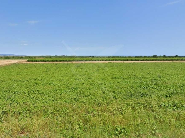 Парцел в с. Дебелт, Област Бургас - 3430 кв.м за 6 €/кв.м - Снимка #1