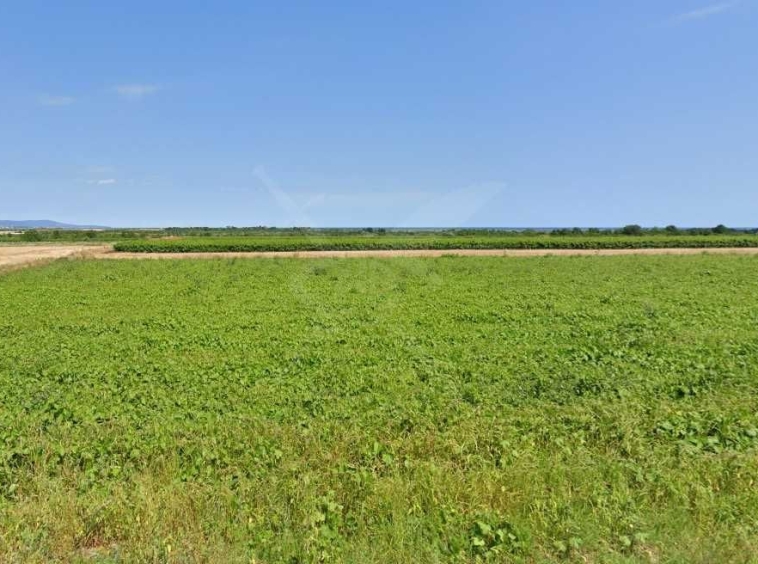 Парцел в с. Дебелт, Област Бургас - 3430 кв.м за 3 €/кв.м - Снимка #1