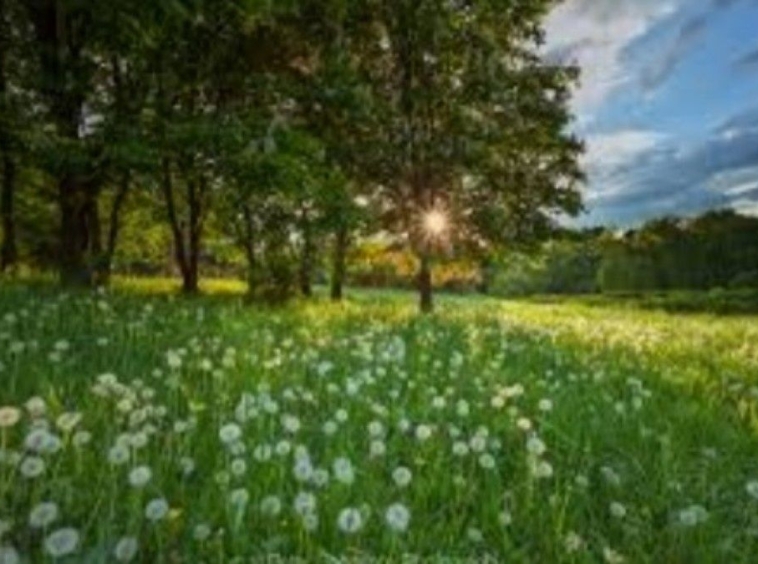 Парцел в с. Паталеница, Област Пазарджик - 737 кв.м за 35 €/кв.м - Снимка #1