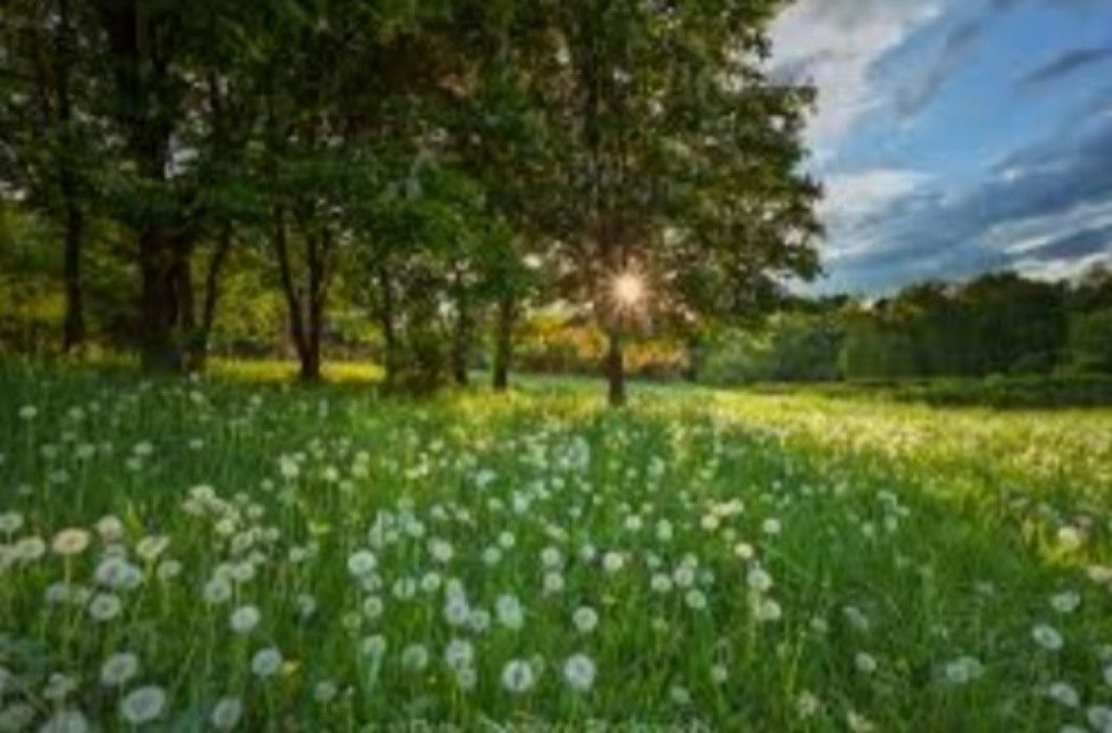 Парцел в с. Паталеница, Област Пазарджик - 737 кв.м за 35 €/кв.м - Снимка #1