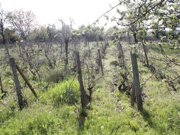 Парцел в с. Горица, Област Бургас - 1980 кв.м за 19 €/кв.м - Снимка #1