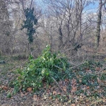 Парцел в с. Полковник Савово, Област Добрич - 9000 кв.м за 0 €/кв.м - Снимка #1