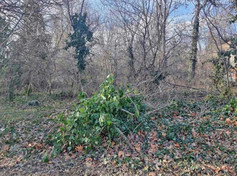 Парцел в с. Полковник Савово, Област Добрич - 9000 кв.м за 0 €/кв.м - Снимка #1