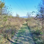 Парцел в Велико Търново, м-т Козлуджа - 3623 кв.м за 21 €/кв.м - Снимка #1