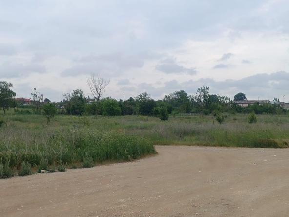 Парцел в с. Нова Черна, Област Силистра - 4860 кв.м за 9 €/кв.м - Снимка #1