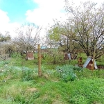 Парцел в с. Храброво, Област Добрич - 1235 кв.м за 7 €/кв.м - Снимка #1